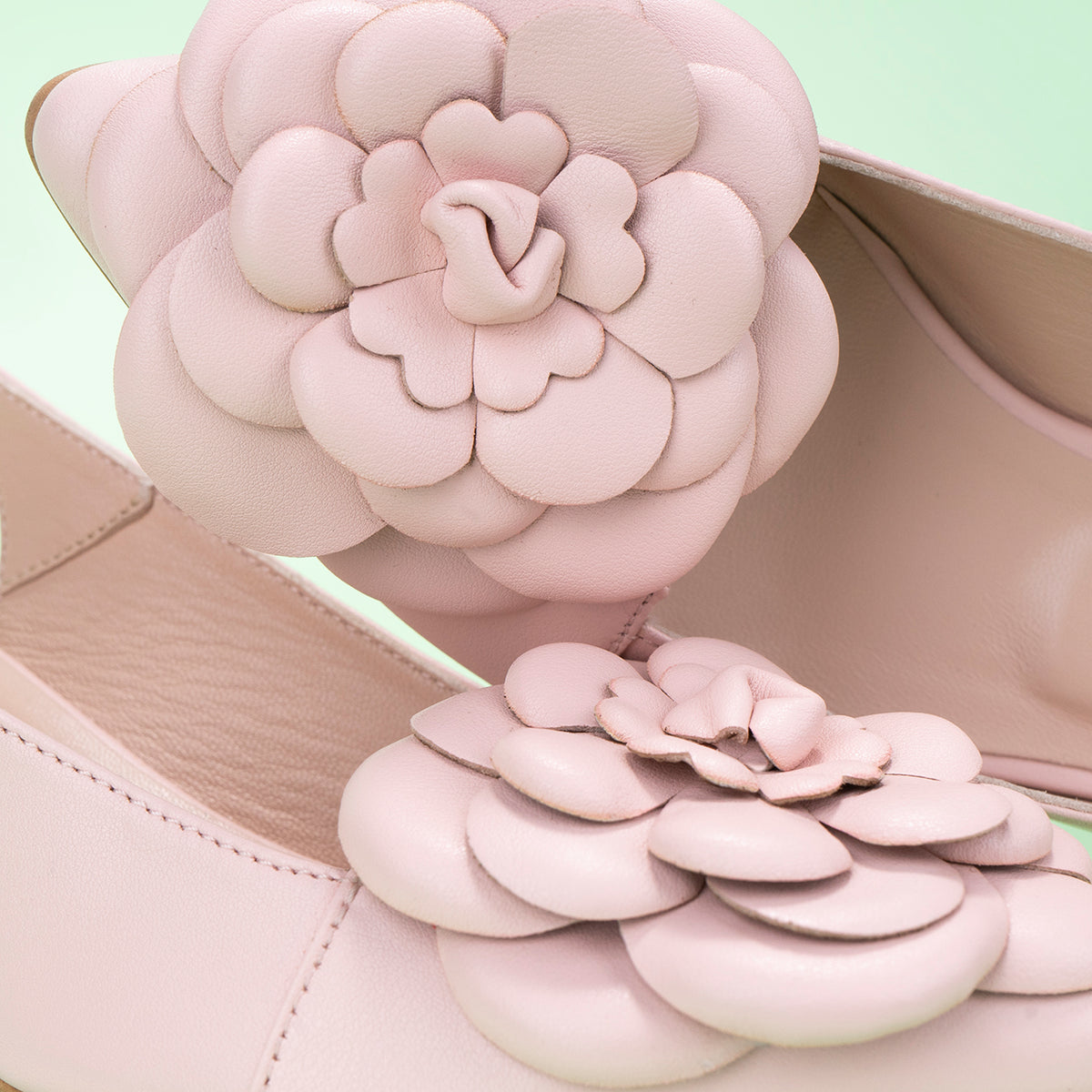 Camellia Rose — LIMITED EDITION