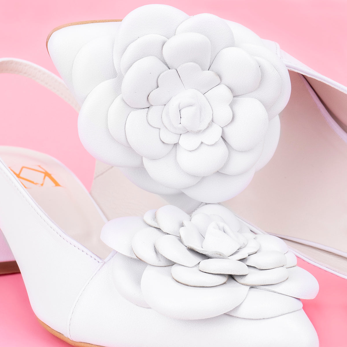 Camellia Blanc — LIMITED EDITION