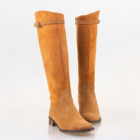 БОТУШИ KALIYA 2