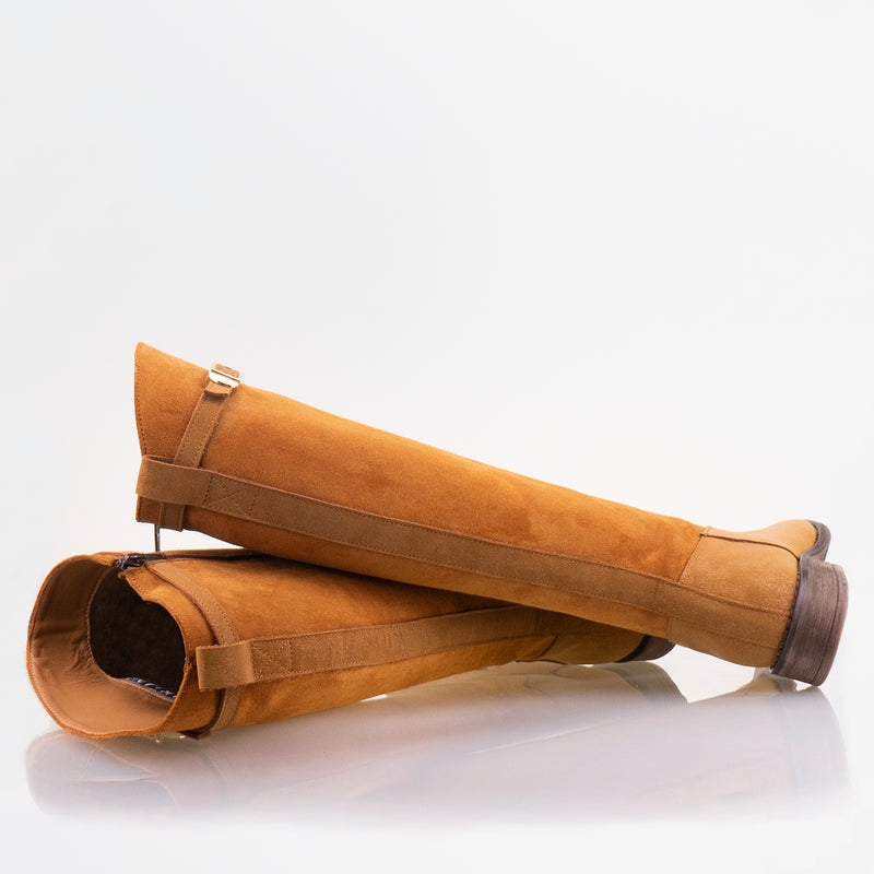 БОТУШИ KALIYA 2